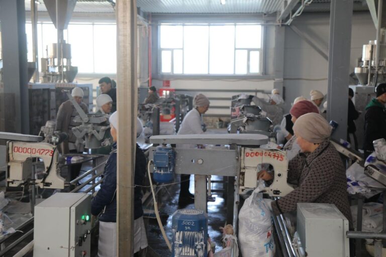 ӨНДІРІСТІ АРТТЫРУ БАҒЫТЫНДАҒЫ ЖОБАЛАР БАР