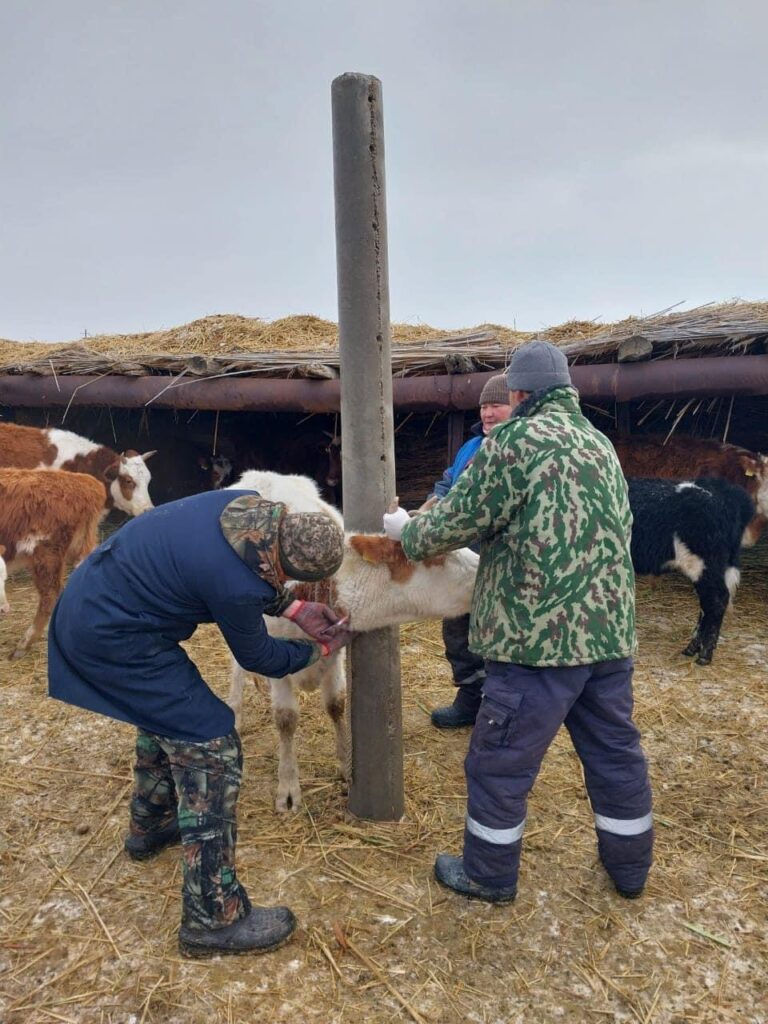ВЕТЕРИНАР МАМАНДАРДЫҢ ЕҢБЕГІ ЕЛЕРЛІК