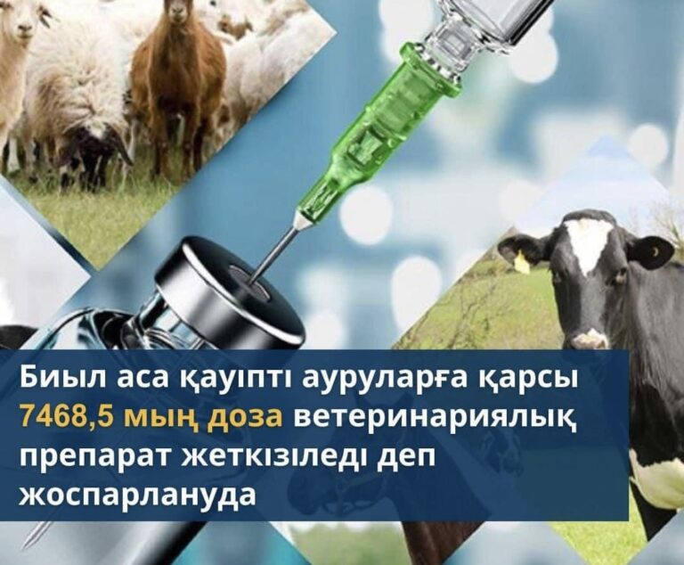 МАЛ БАСЫ КӨБЕЙІП КЕЛЕДІ