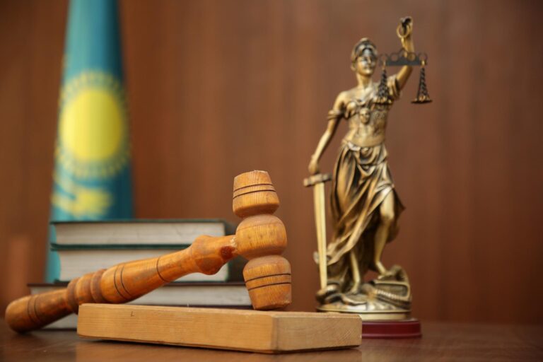 ӘЙЕЛІН ӨЗІНЕ ҚОЛ ЖҰМСАУҒА ДЕЙІН ЖЕТКІЗГЕН