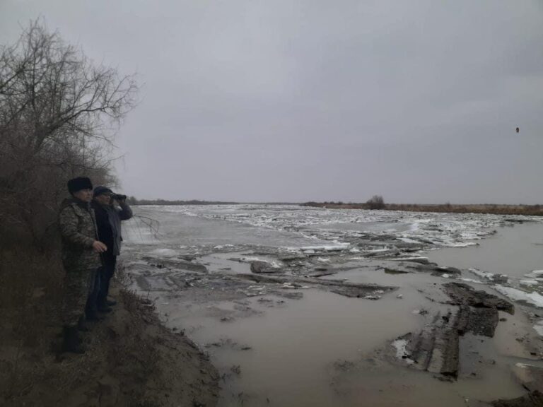 ҚАЗАЛЫДА СІРЕСКЕН МҰЗДЫ ҮГІТУДЕ