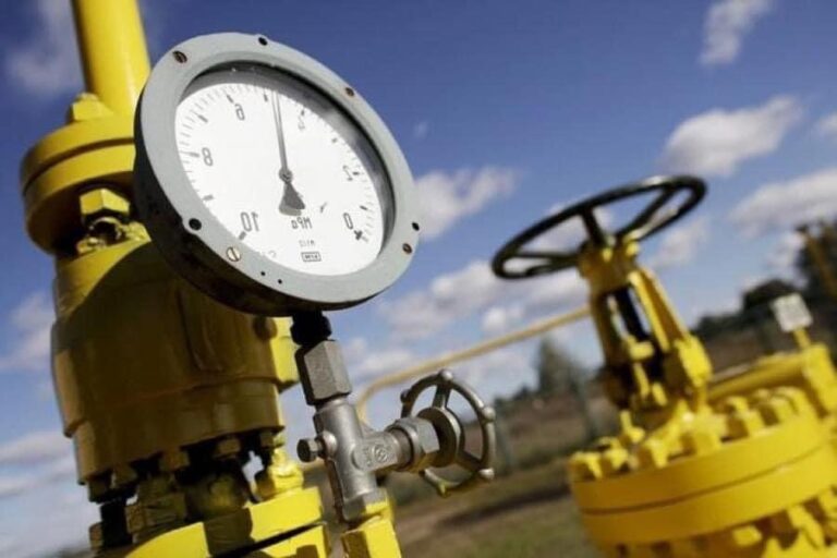 СЫРДАРИЯДАҒЫ СЕРПІНДІ ТІРЛІКТЕР ЖАЛҒАСУДА
