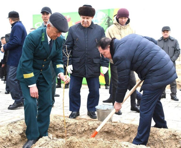 ЖАҢАРУ КҮНІНДЕ ҚАЗАЛЫЛЫҚТАР АҒАШ КӨШЕТТЕРІН ОТЫРҒЫЗДЫ