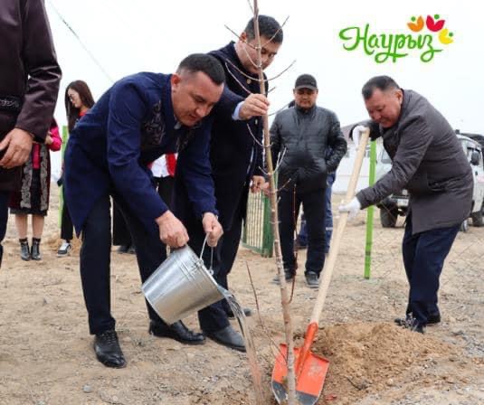 ЖАҢАРУ КҮНІ ЖАҢАҚОРҒАНДА 2000 ТҮП КӨШЕТ ЕГІЛДІ