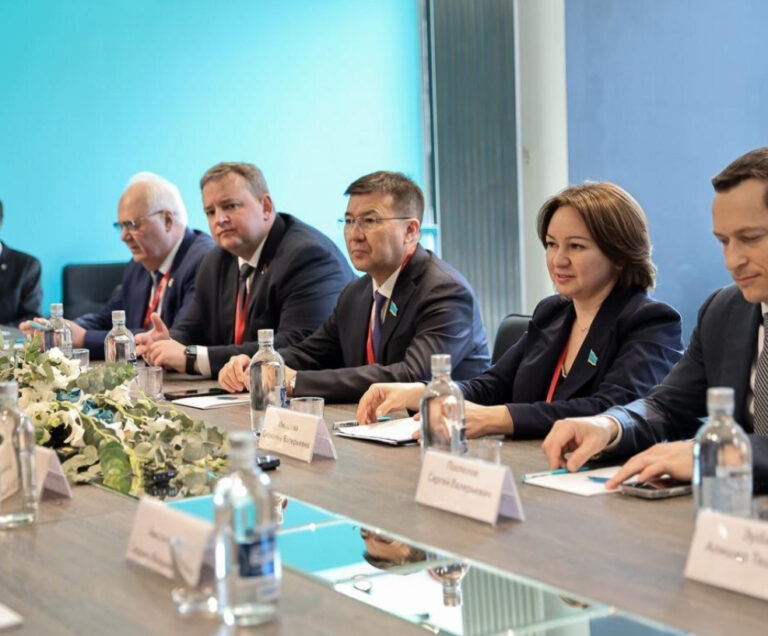 РУСЛАН РҮСТЕМОВ РЕСЕЙДЕГІ САЙЛАУҒА БАЙҚАУШЫ РЕТІНДЕ ҚАТЫСТЫ
