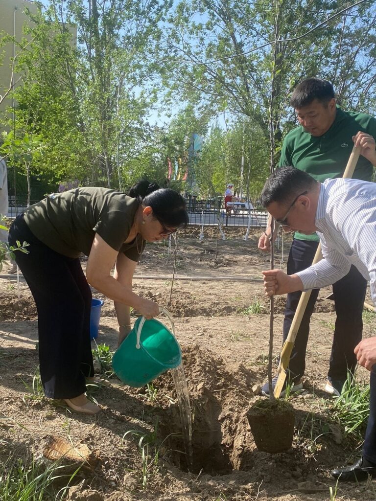ТАЗАЛЫҚ САУЛЫҚ НЕГІЗІ
