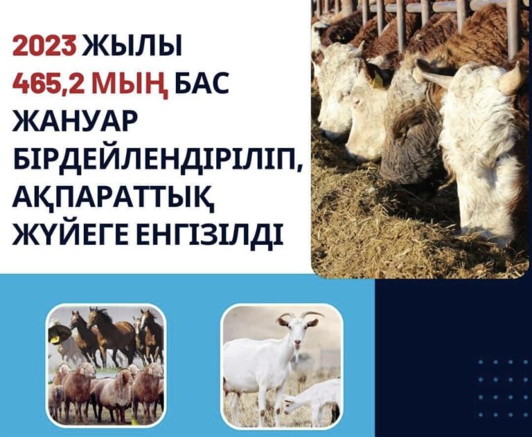 АСА ҚАУІПТІ АУРУЛАРҒА ҚАРСЫ ТИІСТІ ШАРАЛАР ЖҮЙЕЛІ ЖҮРГІЗІЛЕДІ