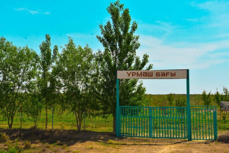 ҮРМӘШ БАҒЫНА 500 ТҮП КӨШЕТ ОТЫРҒЫЗЫЛДЫ