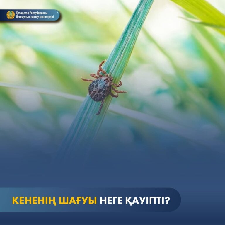 КЕНЕНІҢ ШАҒУЫ НЕГЕ ҚАУІПТІ?