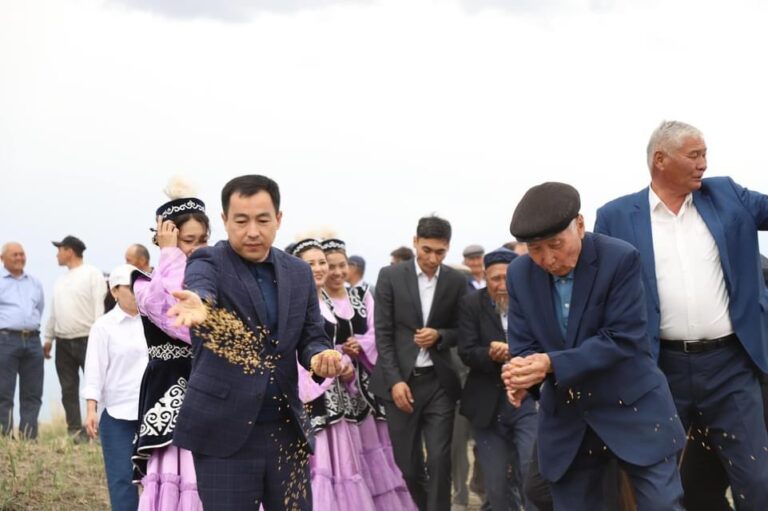 ЖАЛАҒАШ АУДАНЫНДА АЛҒАШҚЫ ДӘН СЕБІЛДІ