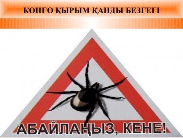 ҚЫЗЫЛОРДАДА 115 ЕЛДІ МЕКЕН КЕНЕ ШАҒУ ҚАУПІ ЖОҒАРЫ АЙМАҚ БОЛЫП ТАНЫЛДЫ