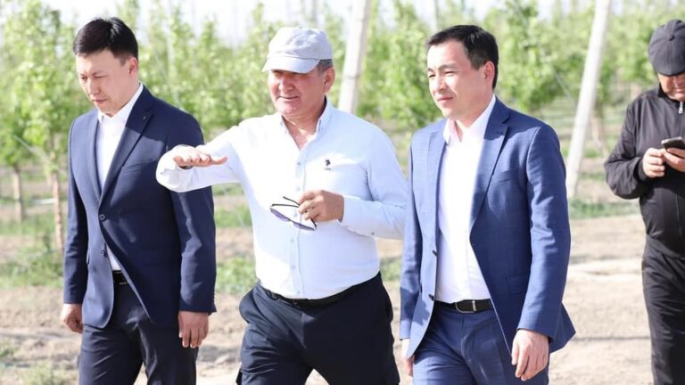 «ҚҰРМАНБАЙ АТА» БРЕНДІ НАРЫҚТА ӨЗ ҚҰНЫН АРТТЫРЫП КЕЛЕДІ