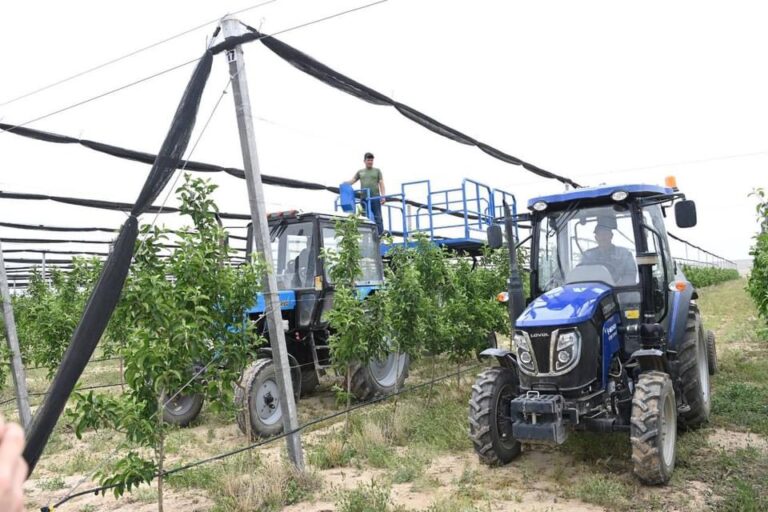 ЖАҢАҚОРҒАНДА ТАМШЫЛАТЫП СУАРУ ӘДІСІМЕН АЛМАБАҚ ОТЫРҒЫЗЫЛДЫ