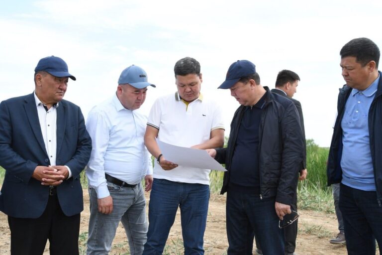 АУДАН ӘКІМІ ЕГІС АЛҚАБЫ МЕН БІРҚАТАР НЫСАНДАРДЫ АРАЛАДЫ