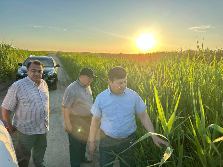 ЖАЛАҒАШ АУДАНЫНДАҒЫ МАУСЫМДЫҚ ХИМИЯЛЫҚ ӨҢДЕУ ЖҰМЫСТАРЫ ЖҮРГІЗІЛУДЕ