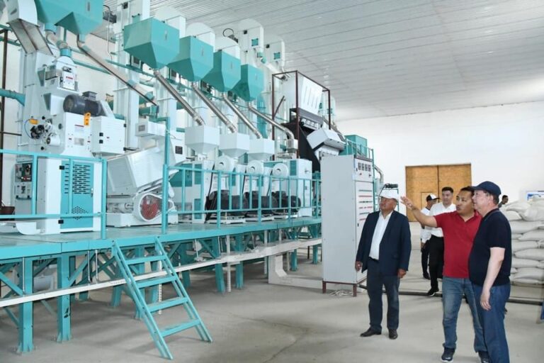 ҚАЗАЛЫДА ЖЫЛЫНА 5000 ТОННА КҮРІШ ӨҢДЕЙТІН ЗАУЫТ ІСКЕ ҚОСЫЛДЫ