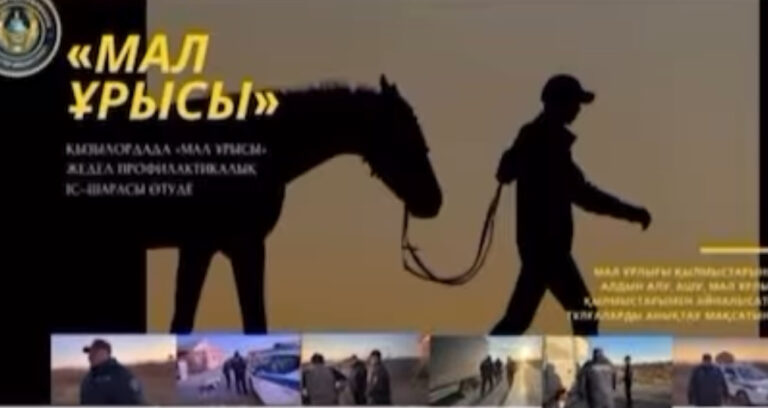 МАЛ ҰРЛЫҒЫ ТЫЙЫЛМАЙ ТҰР