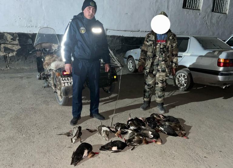 ЕКІ КҮДІКТІ ҰСТАЛДЫ