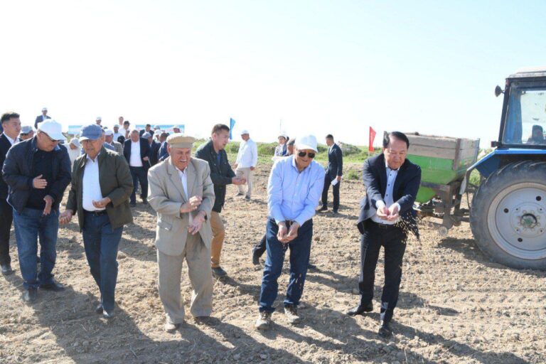 ҚАЗАЛЫДА ЕГІН ДАЛАСЫНА АЛҒАШҚЫ ДӘН СЕБІЛДІ