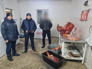 МАЛ ҰРЛАҒАН ҰРЫЛАРҒА ҮКІМ ШЫҚТЫ