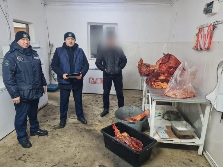 МАЛ ҰРЛАҒАН ҰРЫЛАРҒА ҮКІМ ШЫҚТЫ