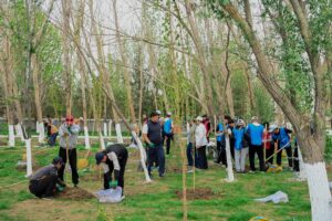 «ТАЗА ҚАЗАҚСТАН»: ҚЫЗЫЛОРДА ОБЛЫСЫНДА 12 000 ТАЛ ЕГІЛДІ