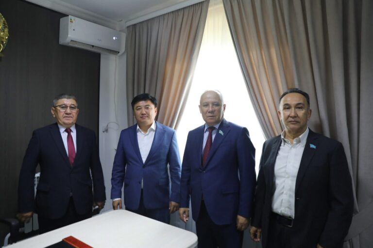 ЕЛДІМЕКЕНДІ КӨРКЕЙТУ ТАПСЫРЫЛДЫ