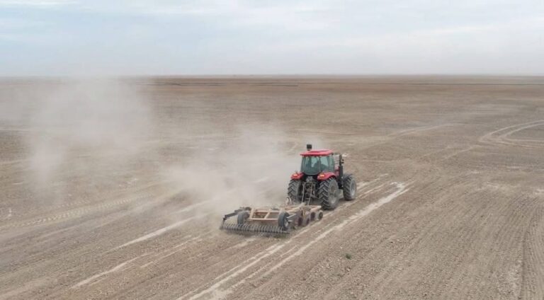 ЖАЛАҒАШТА «HARVEST AGRO» АГРОИНДУСТРИАЛДЫ КЛАСТЕРІ ІСКЕ ҚОСЫЛДЫ