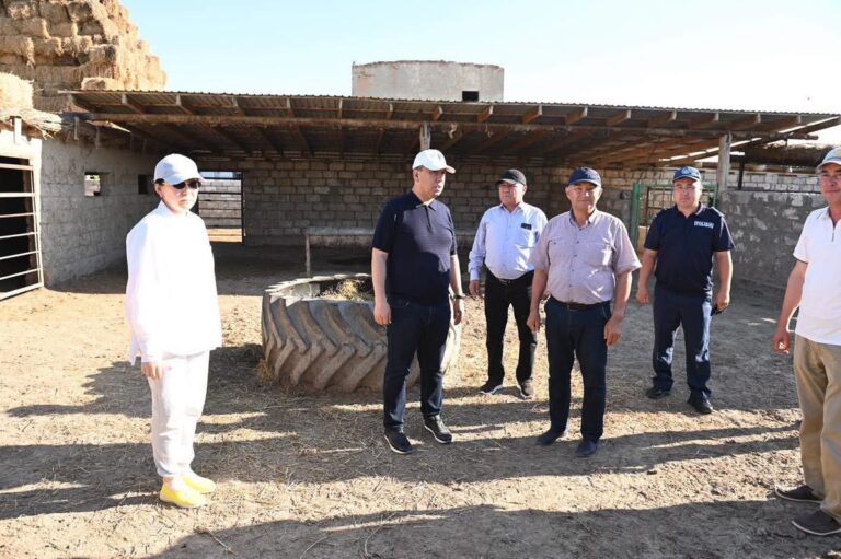 КЕНЕГЕ ҚАРСЫ КҮРЕС – ҚАУІПСІЗДІКТІҢ КЕПІЛІ