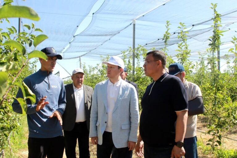 ОБЛЫС ӘКІМІНІҢ ОРЫНБАСАРЫ ЖАҢАҚОРҒАНДАҒЫ СТРАТЕГИЯЛЫҚ ЖОБАЛАРДЫҢ ЖҮЗЕГЕ АСУ БАРЫСЫН БАҒАМДАДЫ