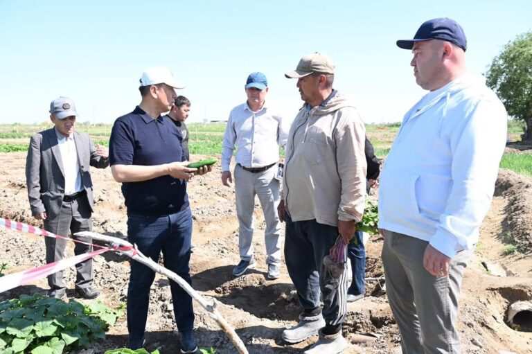 АУДАН ӘКІМІ БАҚШАЛЫҚТАР МЕН ЕГІС АЛҚАПТАРЫН АРАЛАДЫ
