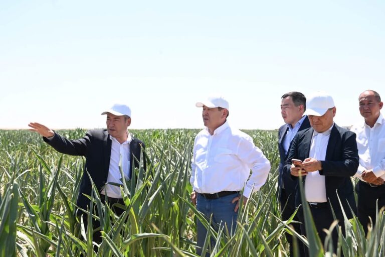 ЖАЛАҒАШТА «HARVEST AGRO» КОМПАНИЯСЫНЫҢ АГРОӨНЕРКӘСІПТІК КЛАСТЕР ЖОБАСЫ ҚАРҚЫНДЫ ЖҮЗЕГЕ АСЫРЫЛУДА