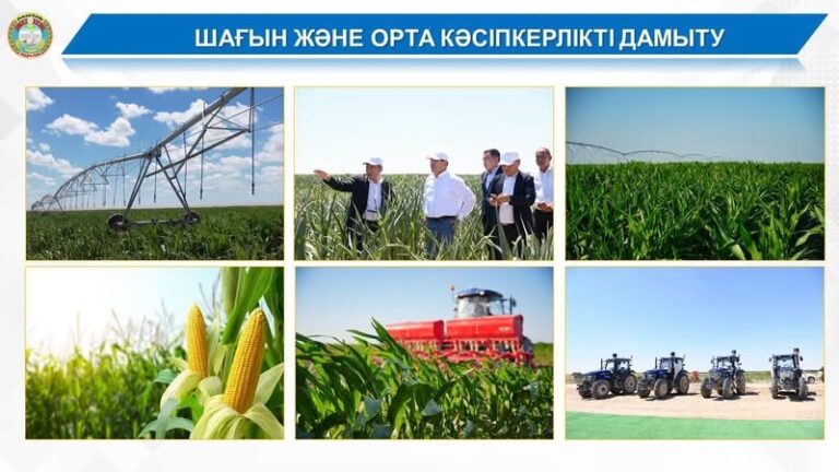 ЖАЛАҒАШТА АГРАРЛЫҚ САЛА МЕН ИНФРАҚҰРЫЛЫМ ДАМУЫ ҚАТАР ӨРІСТЕП КЕЛЕДІ