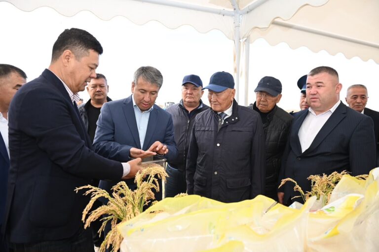 ҚАЗАЛЫ ДАЛАСЫНА ЕГІНГЕ АЛҒАШҚЫ ОРАҚ ТҮСТІ